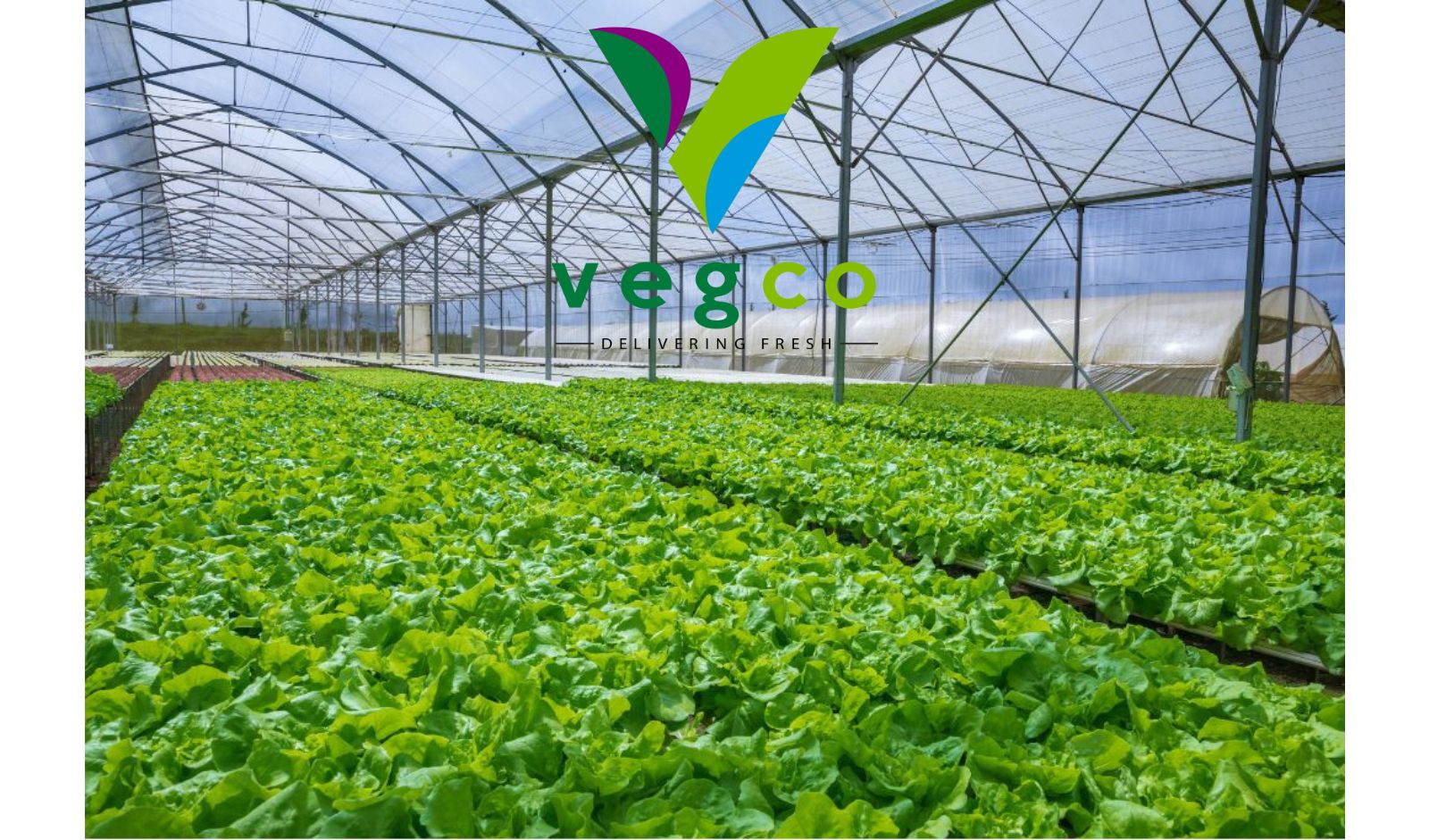 Hydroponics and Organic Farming